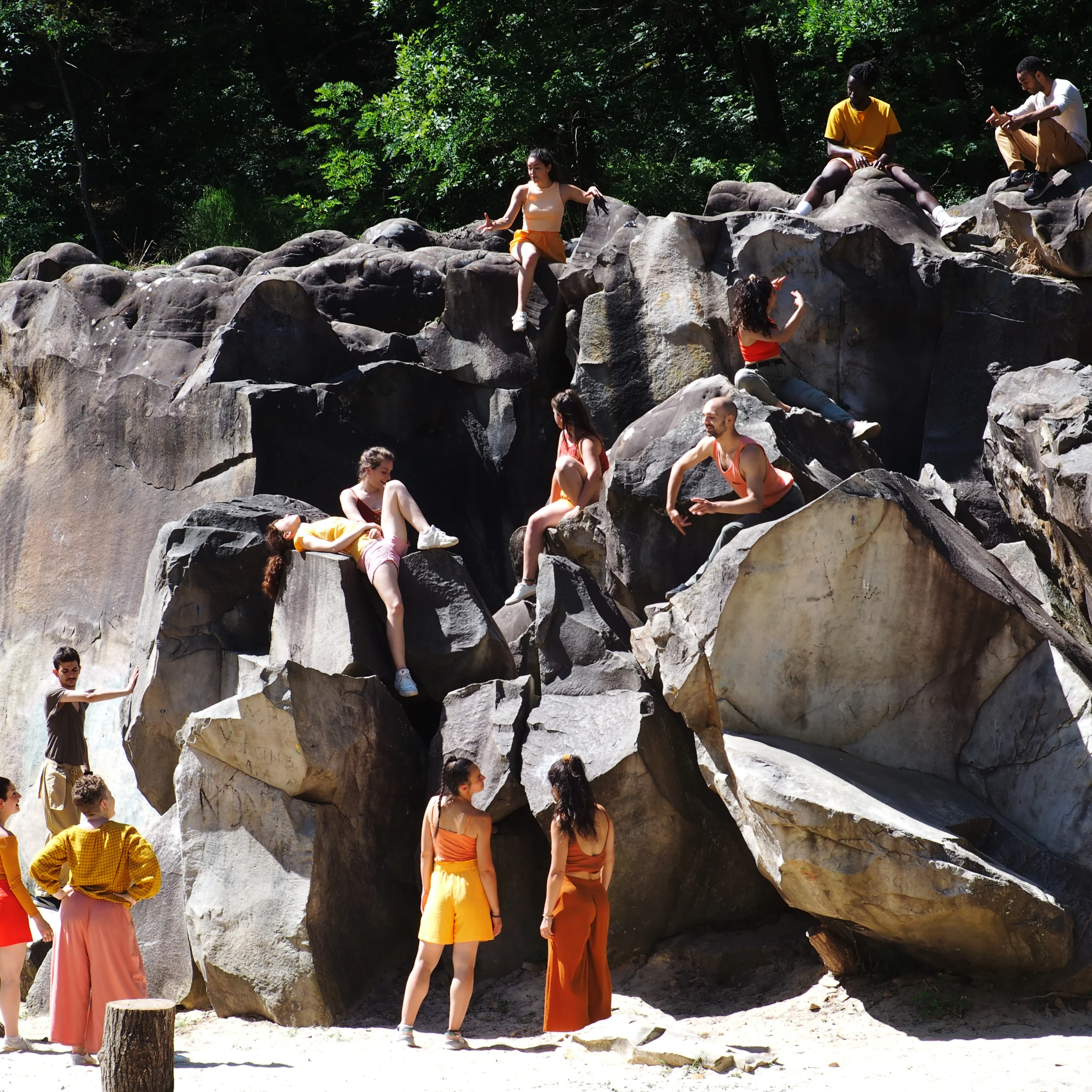 Tableaux d'Évolution